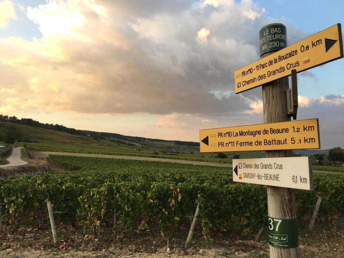 Le Gite De Tassigny Meursault Exteriér fotografie