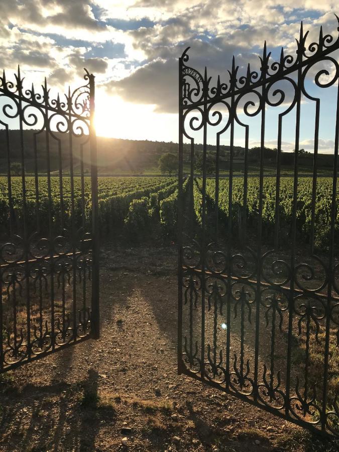 Le Gite De Tassigny Meursault Exteriér fotografie